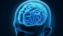 The Human Brain inside a mans head all in a blue tint