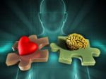Heart and Brain as pieces of a puzzle fitting together